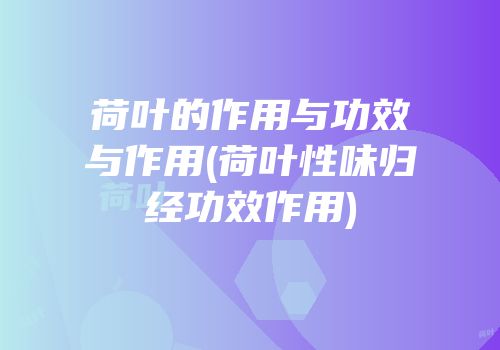 荷叶的作用与功效与作用(荷叶性味归经功效作用)