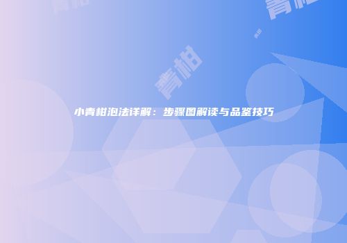 小青柑泡法详解：步骤图解读与品鉴技巧