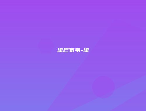 津巴布韦-津