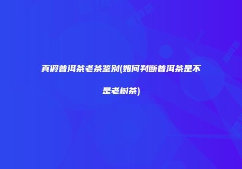 真假普洱茶老茶鉴别(如何判断普洱茶是不是老树茶)