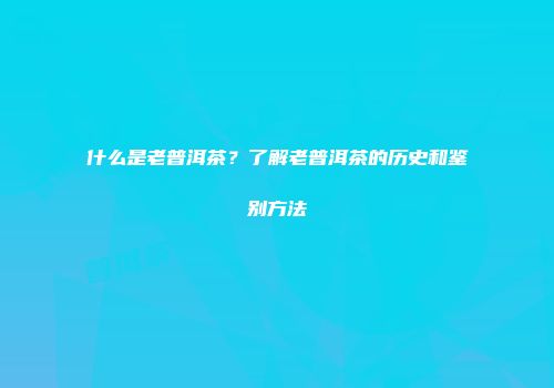 什么是老普洱茶？了解老普洱茶的历史和鉴别方法