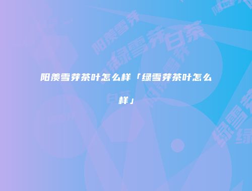 阳羡雪芽茶叶怎么样「绿雪芽茶叶怎么样」