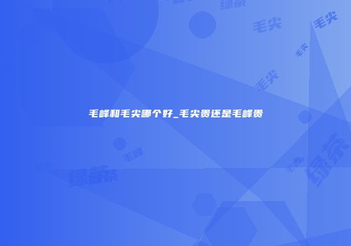 毛峰和毛尖哪个好_毛尖贵还是毛峰贵
