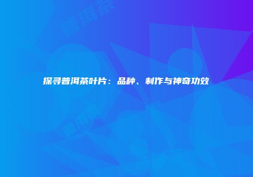 探寻普洱茶叶片：品种、制作与神奇功效