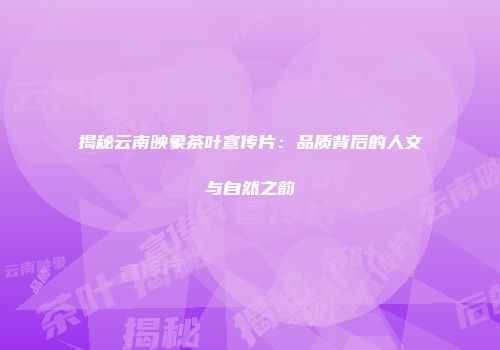 揭秘云南映象茶叶宣传片：品质背后的人文与自然之韵