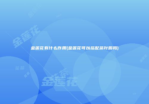 金莲花有什么作用(金莲花可以搭配茶叶喝吗)