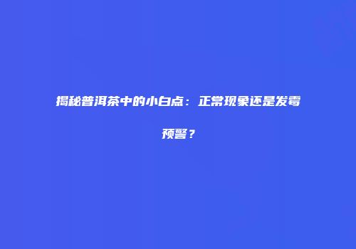 揭秘普洱茶中的小白点：正常现象还是发霉预警？