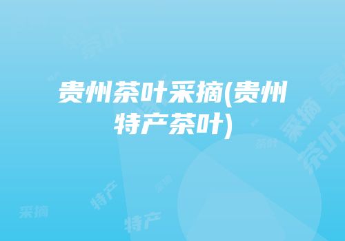 贵州茶叶采摘(贵州特产茶叶)