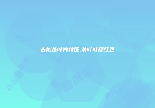 古树茶叶片特征,茶叶叶脉红色