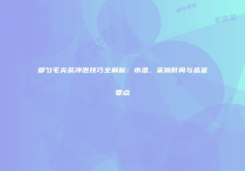 都匀毛尖茶冲泡技巧全解析：水温、采摘时间与品鉴要点
