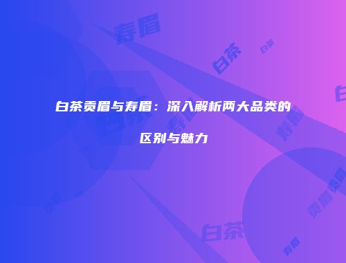 白茶贡眉与寿眉：深入解析两大品类的区别与魅力