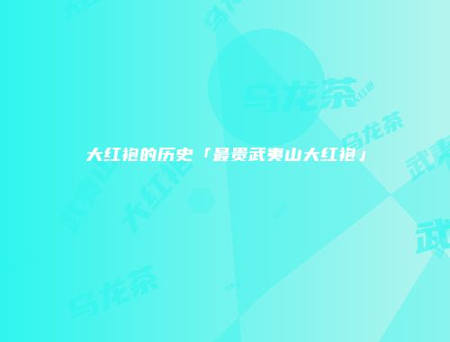 大红袍的历史「最贵武夷山大红袍」