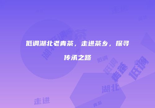 低调湖北老青茶，走进茶乡，探寻传承之路