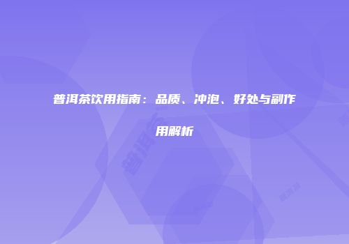 普洱茶饮用指南：品质、冲泡、好处与副作用解析
