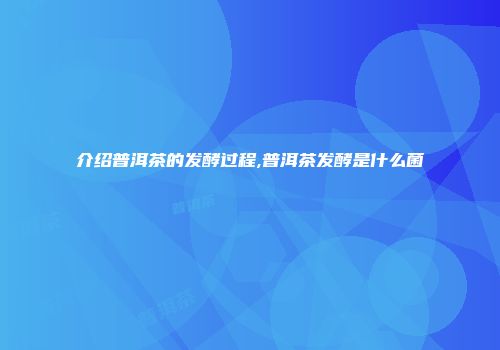 介绍普洱茶的发酵过程,普洱茶发酵是什么菌
