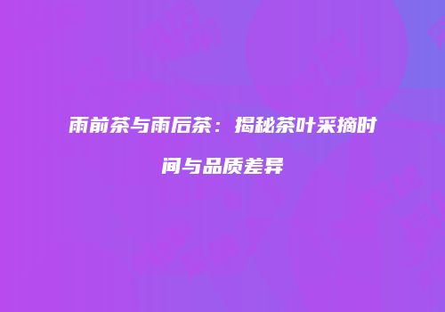 雨前茶与雨后茶：揭秘茶叶采摘时间与品质差异