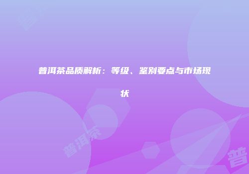 普洱茶品质解析：等级、鉴别要点与市场现状