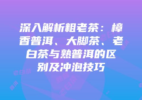 深入解析粗老茶：樟香普洱、大脚茶、老白茶与熟普洱的区别及冲泡技巧