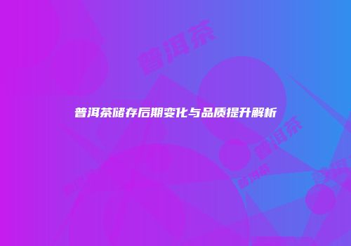 普洱茶储存后期变化与品质提升解析