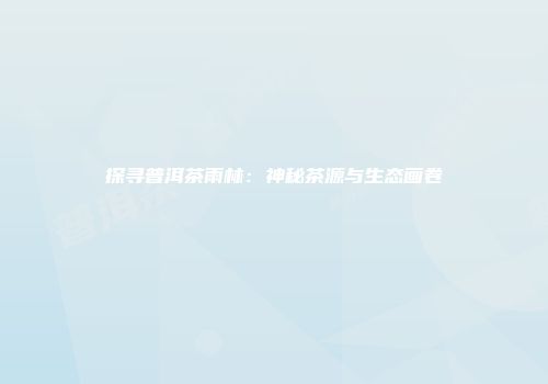 探寻普洱茶雨林：神秘茶源与生态画卷