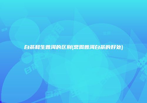 白茶和生普洱的区别(常喝普洱白茶的好处)