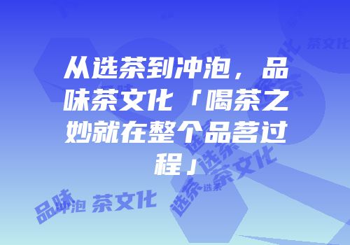 从选茶到冲泡，品味茶文化「喝茶之妙就在整个品茗过程」