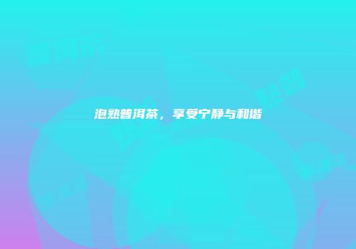 泡熟普洱茶，享受宁静与和谐