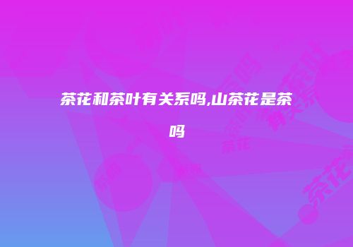 茶花和茶叶有关系吗,山茶花是茶吗