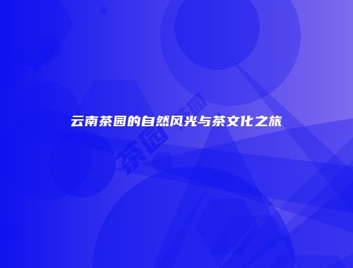 云南茶园的自然风光与茶文化之旅