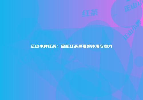 正山小种红茶：探秘红茶鼻祖的传承与魅力