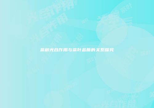 茶树光合作用与茶叶品质的关系探究