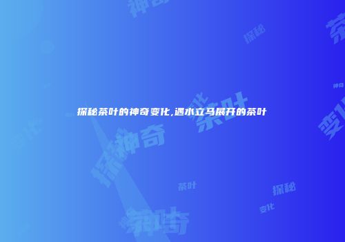 探秘茶叶的神奇变化,遇水立马展开的茶叶