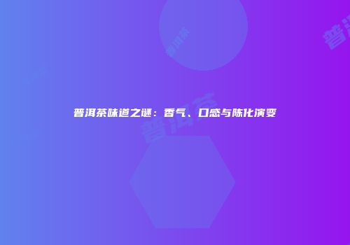普洱茶味道之谜：香气、口感与陈化演变