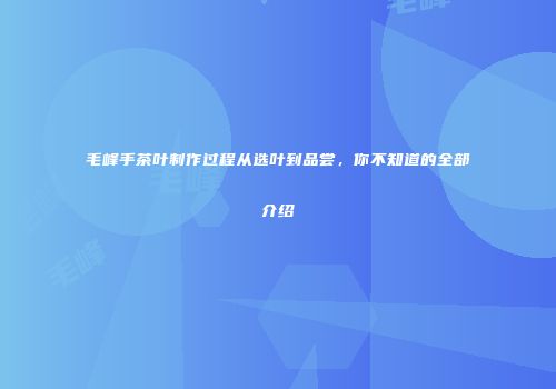 毛峰手茶叶制作过程从选叶到品尝，你不知道的全部介绍