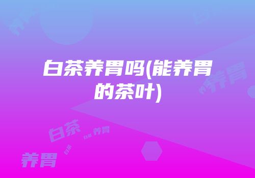 白茶养胃吗(能养胃的茶叶)