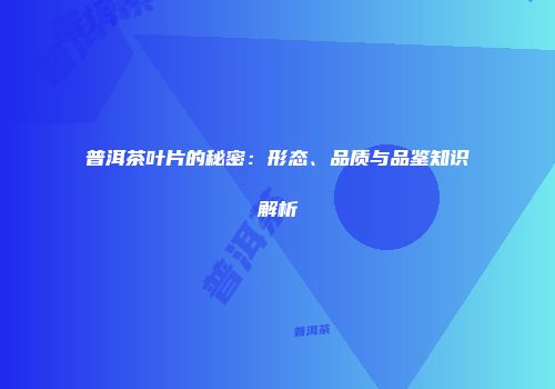 普洱茶叶片的秘密：形态、品质与品鉴知识解析