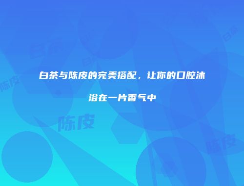 白茶与陈皮的完美搭配，让你的口腔沐浴在一片香气中