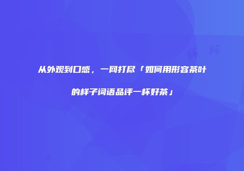 从外观到口感，一网打尽「如何用形容茶叶的样子词语品评一杯好茶」