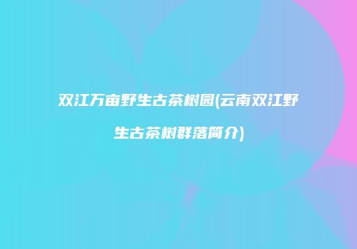 双江万亩野生古茶树园(云南双江野生古茶树群落简介)