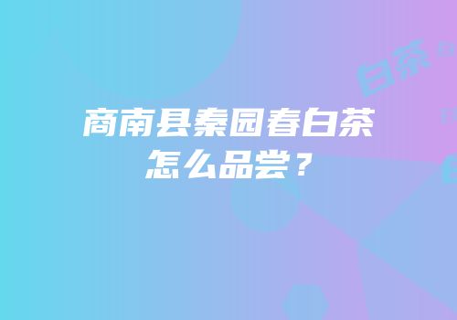 商南县秦园春白茶怎么品尝？