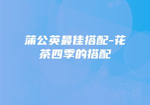 蒲公英最佳搭配-花茶四季的搭配