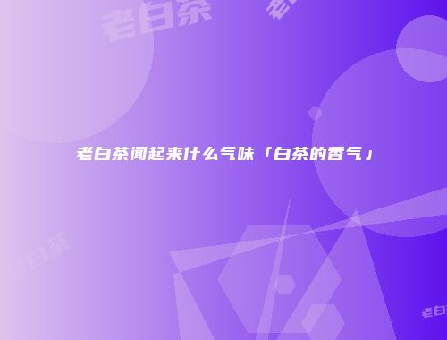 老白茶闻起来什么气味「白茶的香气」