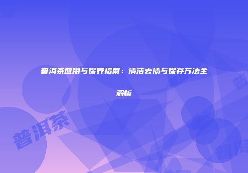 普洱茶应用与保养指南：清洁去渍与保存方法全解析