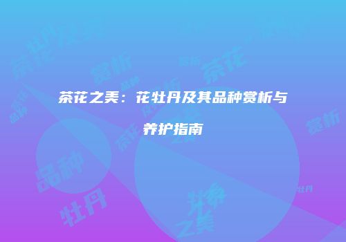 茶花之美：花牡丹及其品种赏析与养护指南