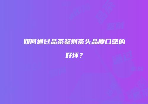 如何通过品茶鉴别茶头品质口感的好坏？