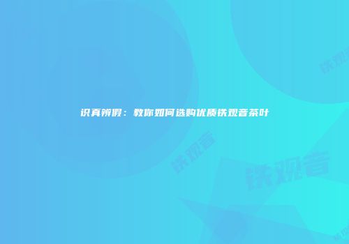 识真辨假：教你如何选购优质铁观音茶叶