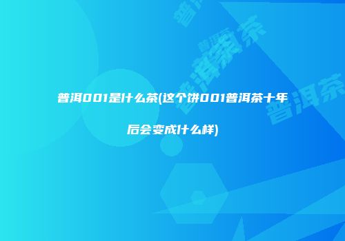 普洱001是什么茶(这个饼001普洱茶十年后会变成什么样)