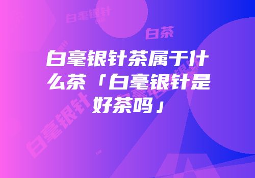 白毫银针茶属于什么茶「白毫银针是好茶吗」
