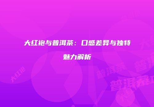 大红袍与普洱茶：口感差异与独特魅力解析