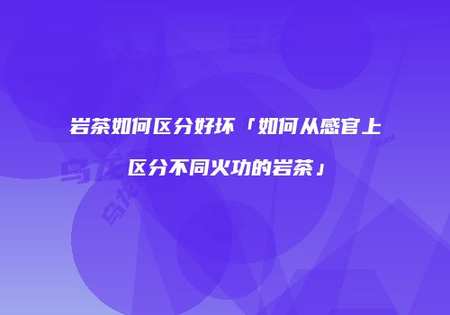 岩茶如何区分好坏「如何从感官上区分不同火功的岩茶」